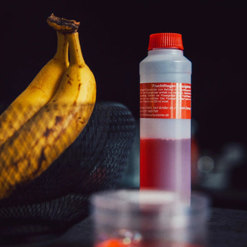 Fruit Fly Trap "Frufli Starter Bundle"