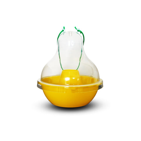 กับดักแมลงวันผลไม้ "Frufli-basket"