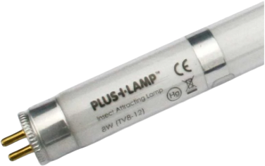 PlusLamp 8 Watt gerade, 12" - 300mm T5, splitterfrei